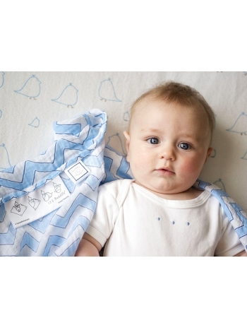 Набор пеленок SwaddleDesigns SwaddleLite Blue Chevron Lite