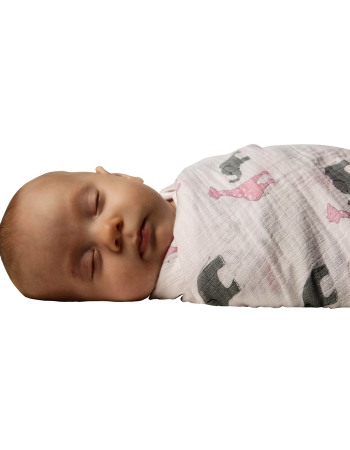 Набор пеленок SwaddleDesigns Swaddle Duo Pink Circus Fun